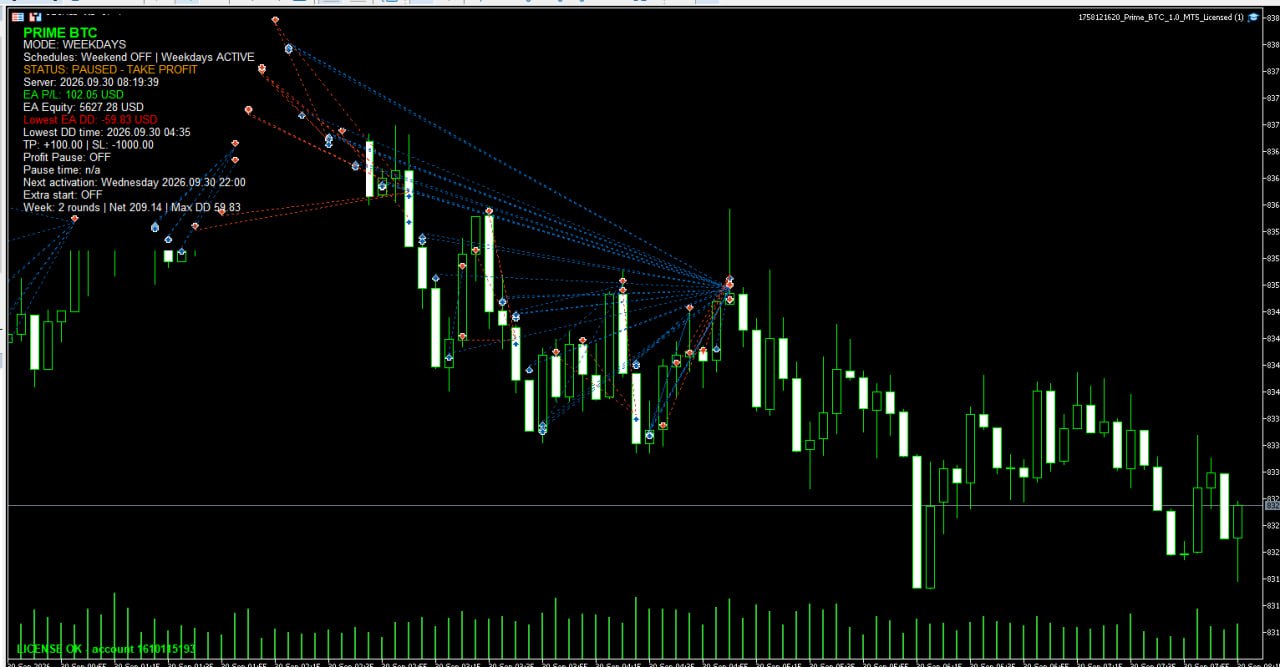 Prime BTC i MetaTrader 5 med candlestick-diagram och trades